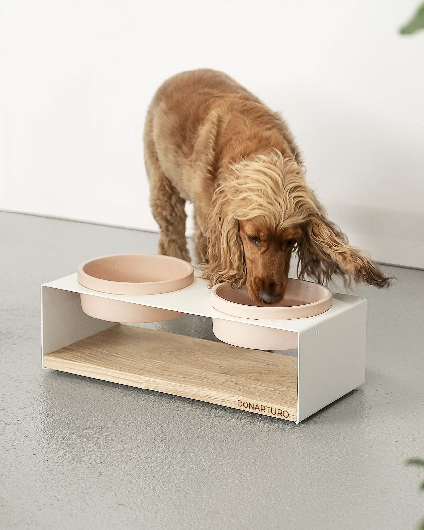 Cane sales spaniel bowl