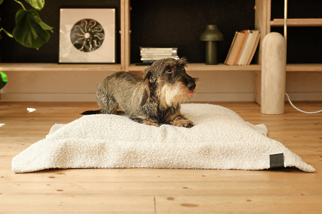cuscino per cani RAVIOLO – Donarturo _ pet inspired design